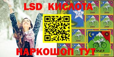 индика Рыбинск