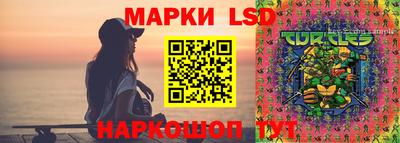индика Рыбинск