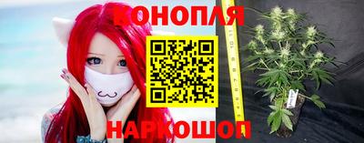 индика Рыбинск