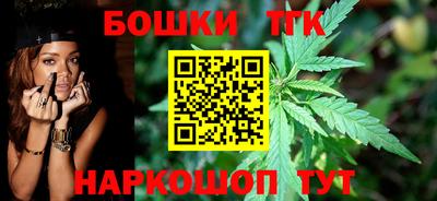 индика Рыбинск