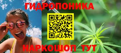 индика Рыбинск